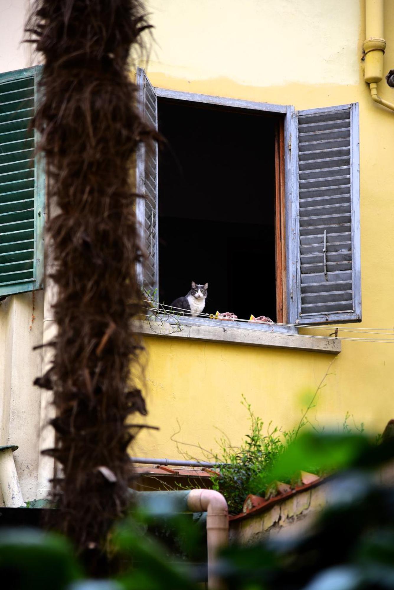 Il Segreto Di Via Laura - House In Florence 아파트 외부 사진